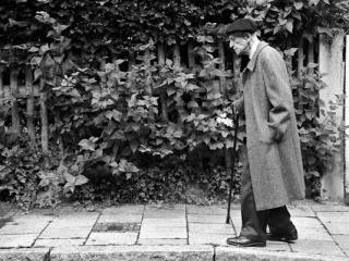 Alte 07 - Gustav Eckart, Photography