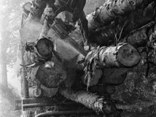 working on the truck - Gustav Eckart, Photography