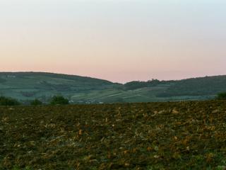 France 2003 24 - Gustav Eckart, Photography