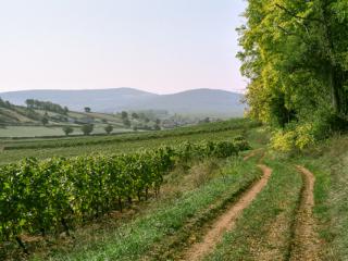 France 2003 29 - Gustav Eckart, Photography