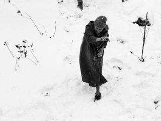 Großmutter bei der Schneeballschlacht - Gustav Eckart, Fotografie