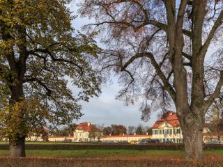 Munchen 58 - Gustav Eckart, Photography