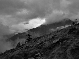 Natur 103 - Gustav Eckart, Photographie