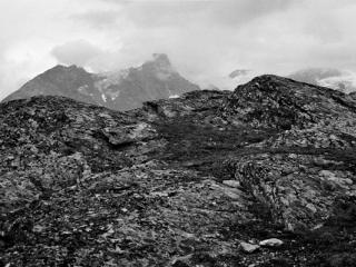 Natur 15 - Gustav Eckart, Fotografie