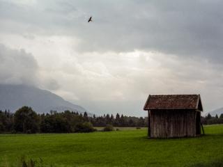 Natur 55 - Gustav Eckart, Photography