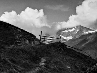 Natur 70 - Gustav Eckart, Photography