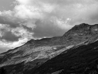 Natur 72 - Gustav Eckart, Fotografia