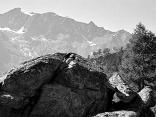 Natur 77 - Gustav Eckart, Fotografie