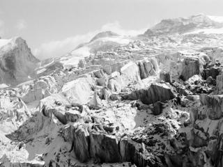 Natur 88 - Gustav Eckart, Fotografie