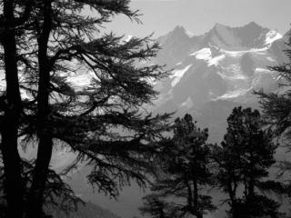 Natur 95 - Gustav Eckart, Fotografie