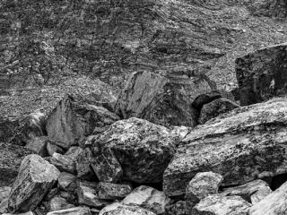 Natur 97 - Gustav Eckart, Photographie