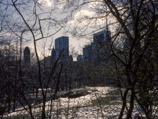 New York City 03/1984 -16 - Gustav Eckart, Fotografie