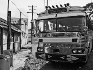 Palenque Bus - Gustav Eckart, Photographie