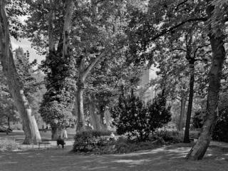 Bockenheimer Anlage - Gustav Eckart, Fotografie