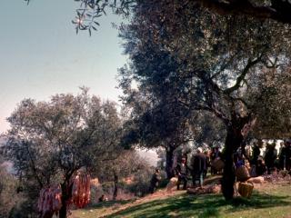 Peloponnes 1 - Gustav Eckart, Photographie