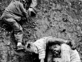 Kinder 41 - Gustav Eckart, Fotografia