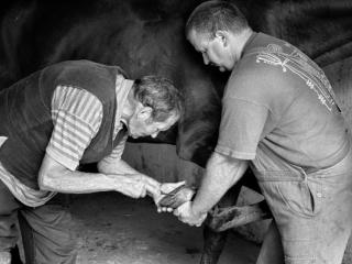 Blacksmith - Gustav Eckart, Fotografie