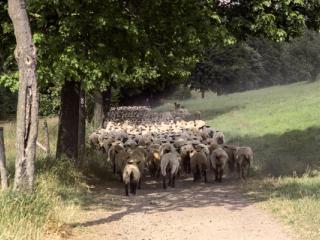 Siegerland 1985 - 22 - Gustav Eckart, Fotografia