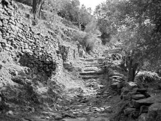 Tinos 1987 08 - Gustav Eckart, Fotografia