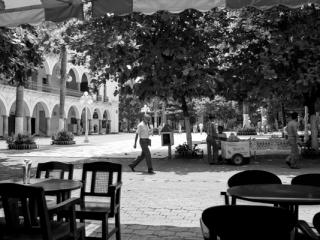 Veracruz - Gustav Eckart, Photographie