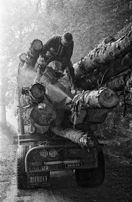 tagliare i tronchi troppo lunghi sul camion - Gustav Eckart, Fotografia