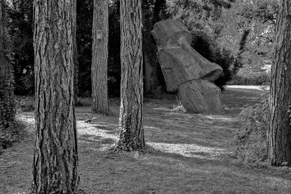 Eichhörnchen - Gustav Eckart, Fotografie