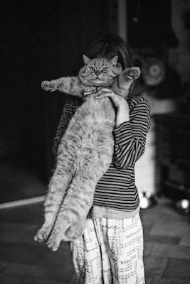 girl with cat - Gustav Eckart, Photography