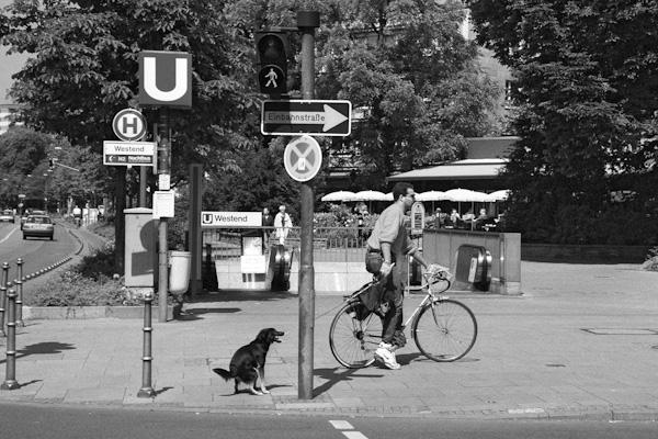 U-Bahn-Haltestelle Frankfurt Westend 1993 - Gustav Eckart, Fotografie