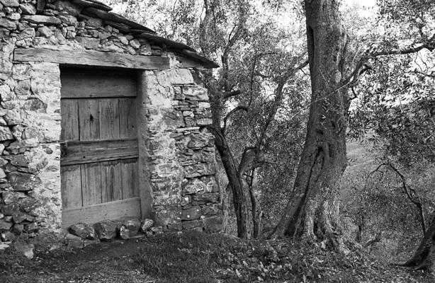 Ligurien 1990 91 01 - Gustav Eckart, Fotografia