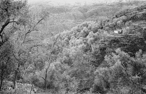 Ligurien 1991 02 - Gustav Eckart, Fotografie