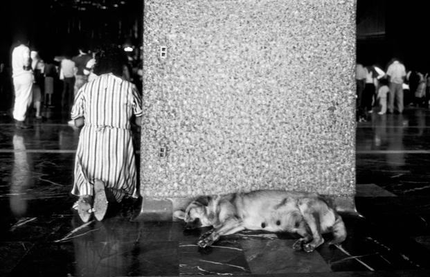 Mexico La Gouadeloupe Hund - Gustav Eckart, Fotografie