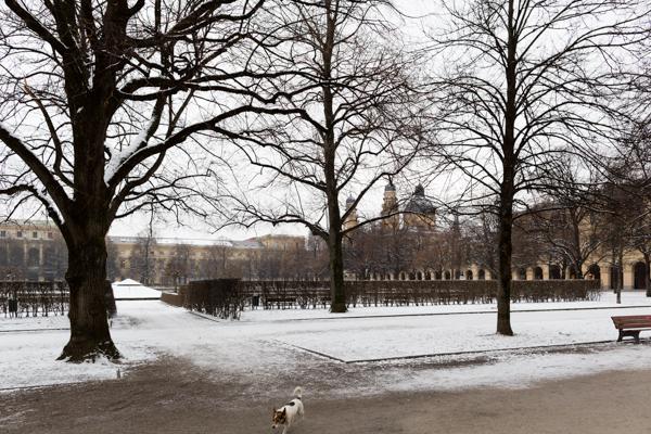 Munich 66 - Gustav Eckart, Photographie