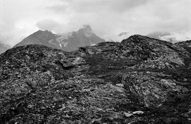 Natur 15 - Gustav Eckart, Fotografie