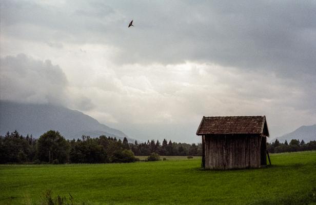 Natur 55 - Gustav Eckart, Photographie