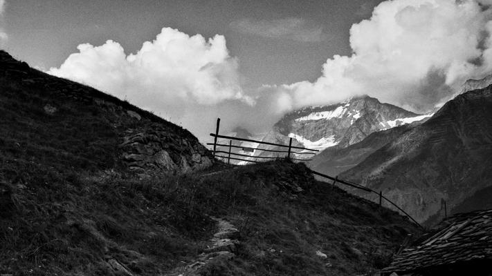 Natur 70 - Gustav Eckart, Fotografie