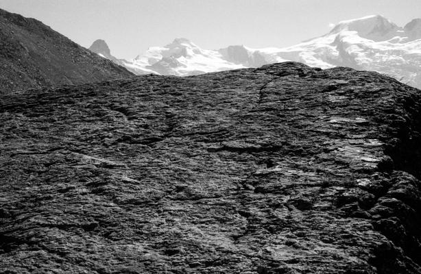 Natur 74 - Gustav Eckart, Fotografie