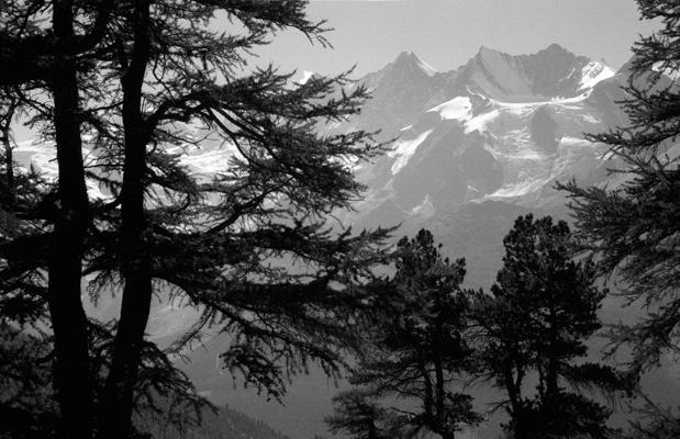 Natur 95 - Gustav Eckart, Fotografie