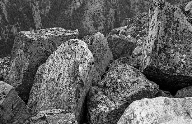 Natur 98 - Gustav Eckart, Fotografie