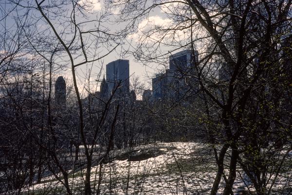 New York City 03/1984 -16 - Gustav Eckart, Photography