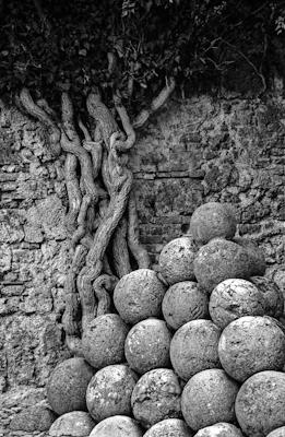 l&#039;ordre et le chaos - Gustav Eckart, Photographie