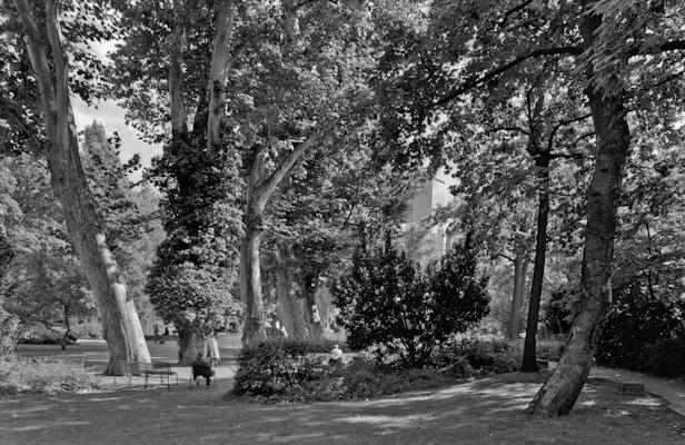 Bockenheimer Anlage - Gustav Eckart, Fotografie