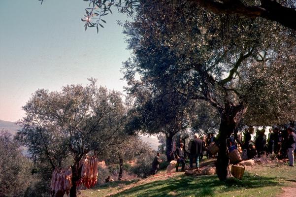 Peloponnes 1 - Gustav Eckart, Fotografia