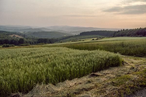 Siegerland 1985 - 53 - Gustav Eckart, Fotografia