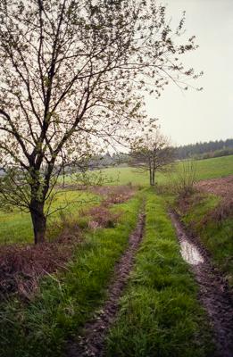 Siegerland 1985 - 15 - Gustav Eckart, Photography