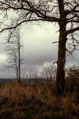 Siegerland 1985 - 16 - Gustav Eckart, Fotografia