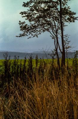 Siegerland 1985 - 17 - Gustav Eckart, Fotografia