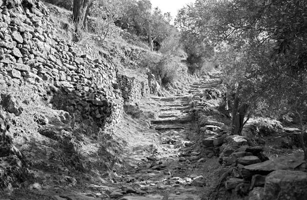 Tinos 1987 08 - Gustav Eckart, Fotografie